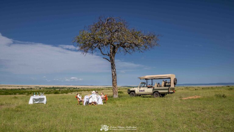 Kenya - Zebra Plains